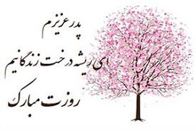 احمدرضا فریدونی پدر